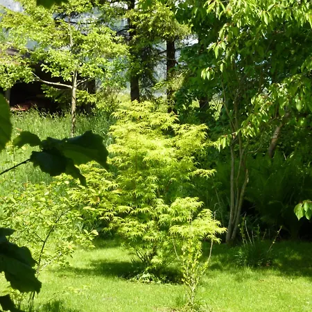 アパート Allmein 3 *